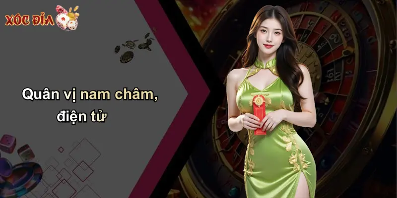 Quân vị nam châm, điện tử