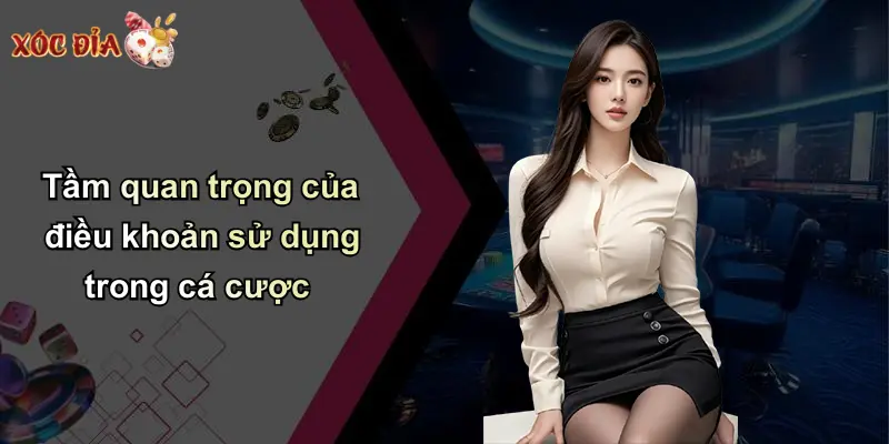 Tầm quan trọng của điều khoản sử dụng trong cá cược