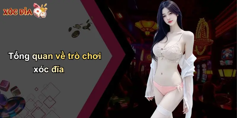 Tổng quan về trò chơi xóc đĩa