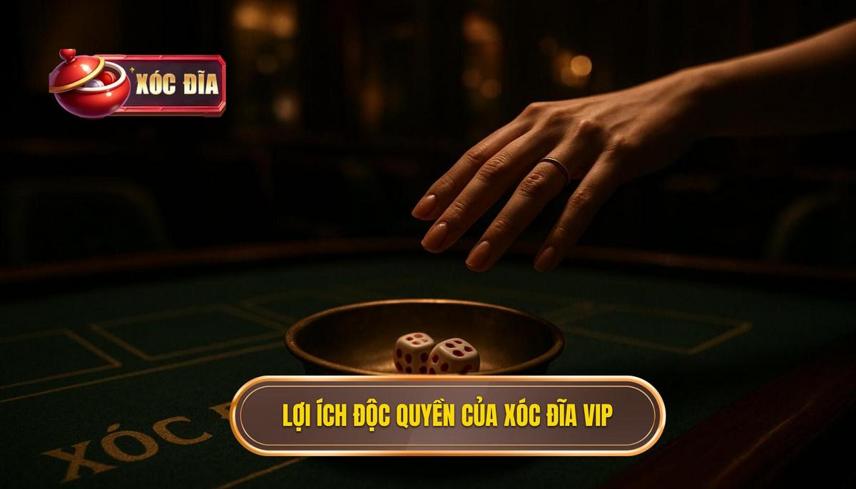 Phân Tích Chuyên Sâu Các Lợi Ích Độc Quyền Của Xóc Đĩa VIP