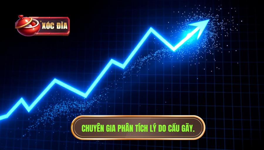 Tại sao cầu bị “bẻ” bất ngờ? Phân tích từ góc độ chuyên gia