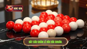 Cầu Chẵn Lẻ Xen Kẽ: Bí Quyết Bắt Cầu Xóc Đĩa Bất Bại 2024
