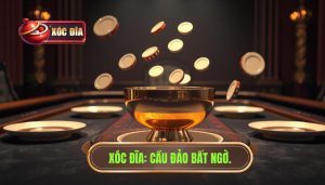 Cách Bắt Cầu Đảo Bất Ngờ Trong Phiên Xóc Đĩa Chuẩn Xác 2024