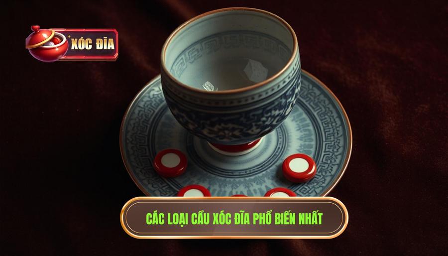 Các loại cầu xóc đĩa hôm nay thường gặp nhất
