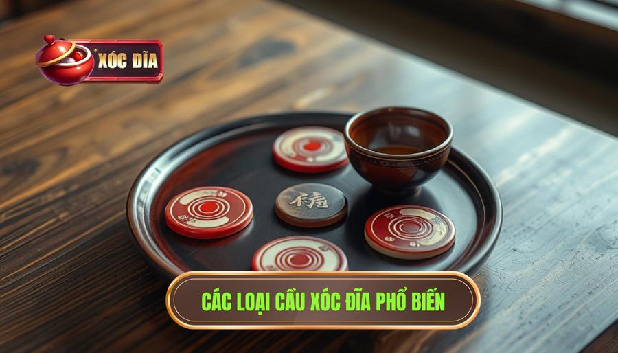 Các loại cầu phổ biến khi theo dõi cầu xóc đĩa