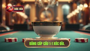 cầu 1-1 xóc đĩa