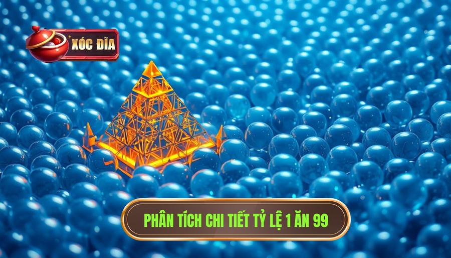 Phân tích đa chiều về tỷ lệ 1 ăn 99